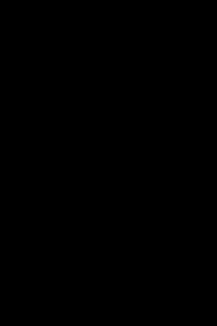 A solid black rectangle. A solid black, upright rectangle.